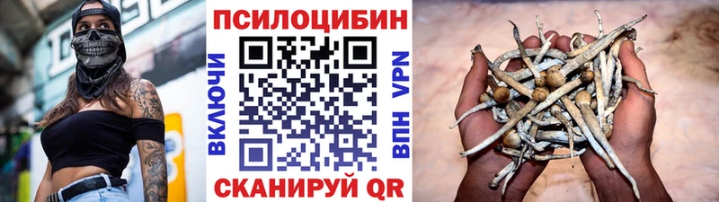 дарк нет какой сайт  что такое наркотик  blacksprut зеркало  Короча  Галлюциногенные грибы GOLDEN TEACHER 