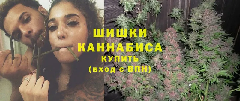 цена   Короча  Бошки Шишки OG Kush 